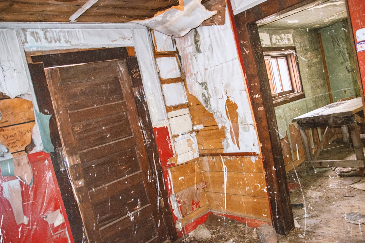 Mold Remediation service in Warren, MI